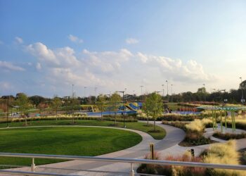 Cricket Betting Schedule